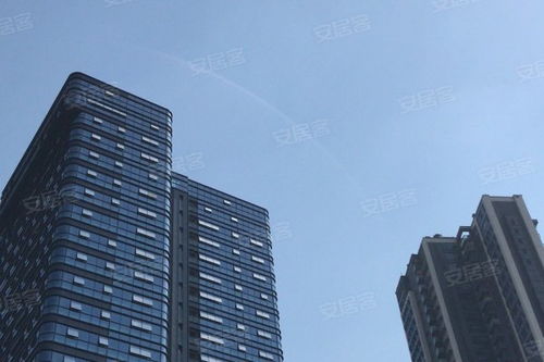 金地壹粵府綜合評析 優勢、不足與市場口碑